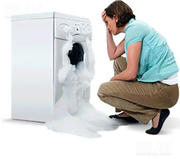 Ремонт стиральных машин,  холодильников,  электроплит.
